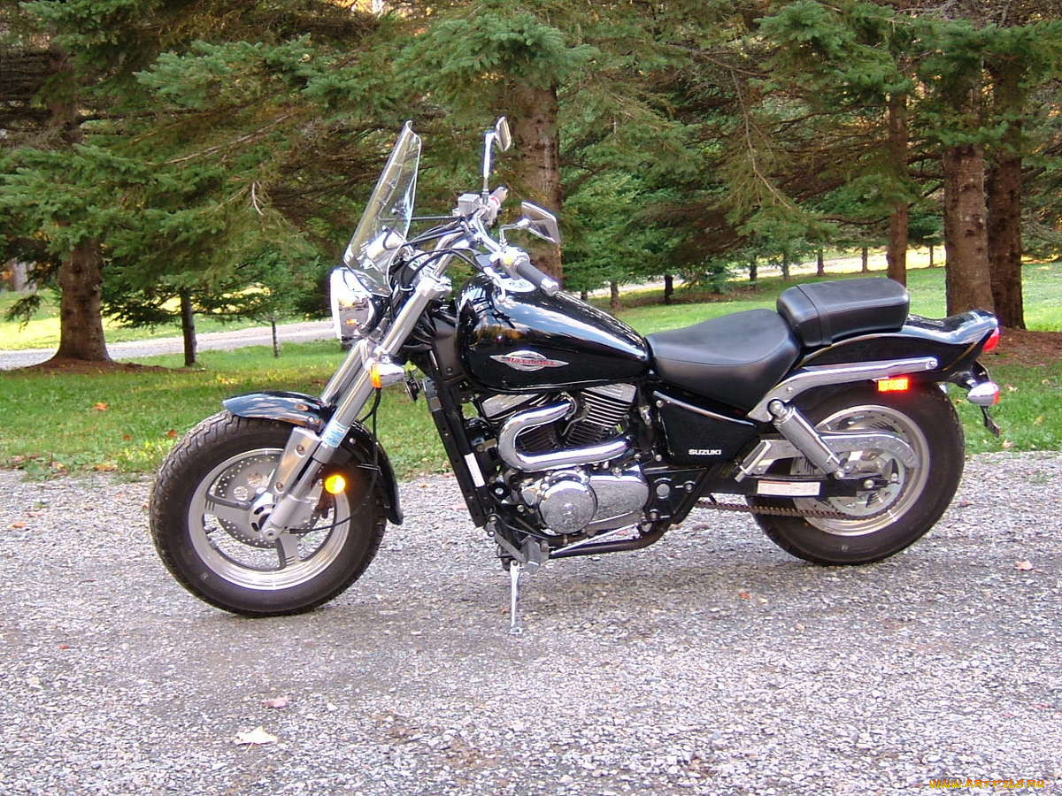 suzuki, 